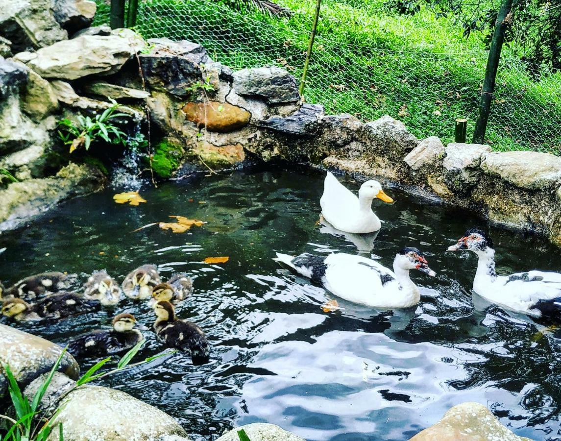 Duck House Hotel La Vega  Esterno foto